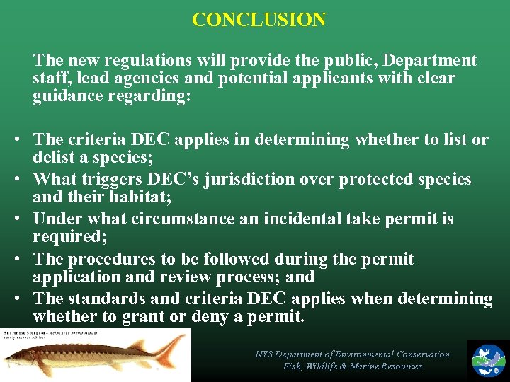 CONCLUSION The new regulations will provide the public, Department staff, lead agencies and potential