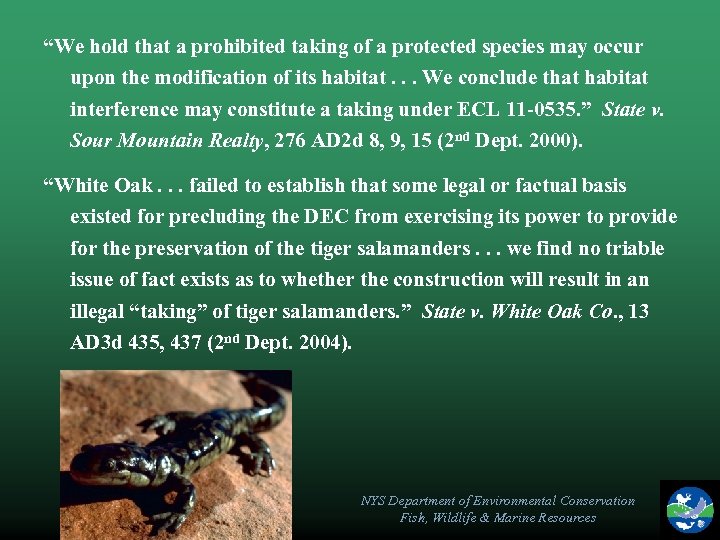 “We hold that a prohibited taking of a protected species may occur upon the