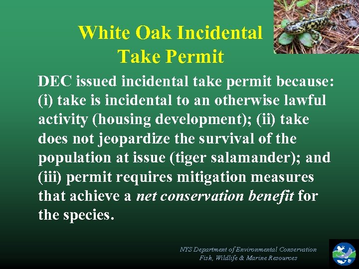 White Oak Incidental Take Permit DEC issued incidental take permit because: (i) take is