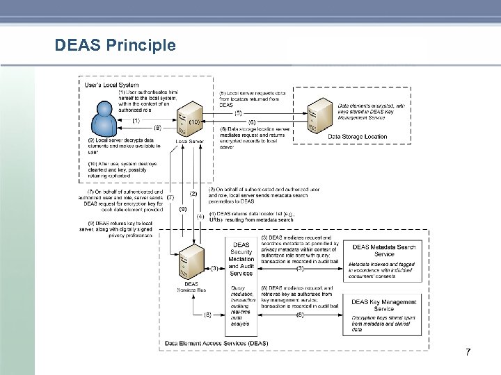 DEAS Principle 7 