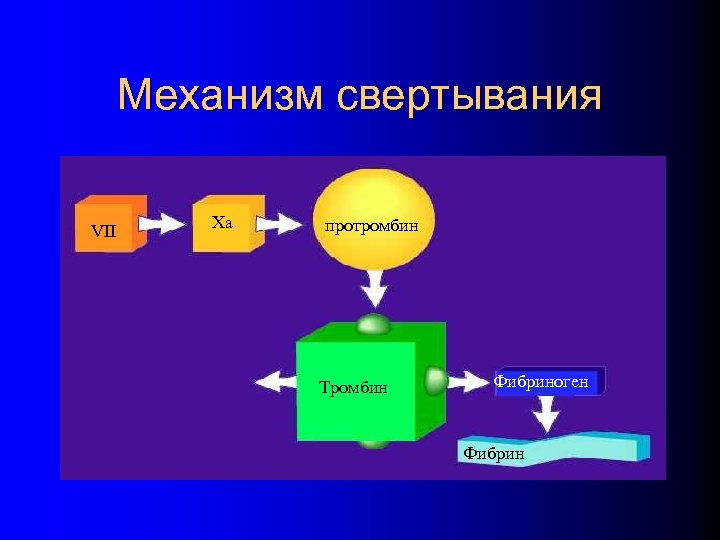 Механизм свертывания VII Xa протромбин Тромбин Фибриноген Фибрин 