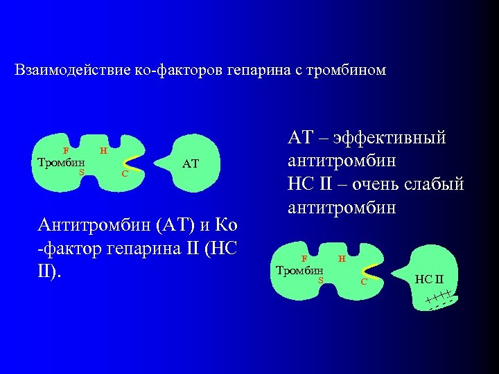 Взаимодействие ко-факторов гепарина с тромбином F Тромбин S H C AT Антитромбин (AT) и