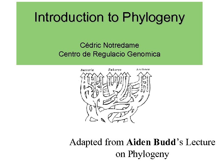 Introduction to Phylogeny Cédric Notredame Centro de Regulacio Genomica Adapted from Aiden Budd’s Lecture