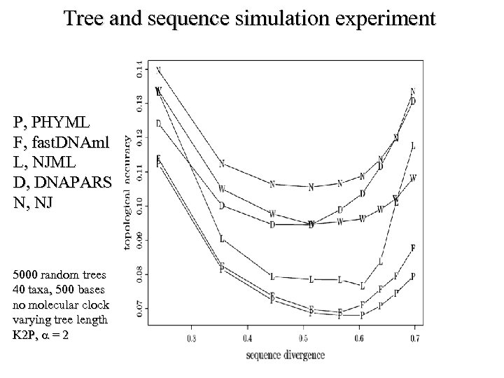 Tree and sequence simulation experiment P, PHYML F, fast. DNAml L, NJML D, DNAPARS