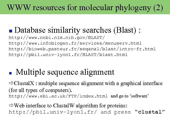 WWW resources for molecular phylogeny (2) Database similarity searches (Blast) : http: //www. ncbi.