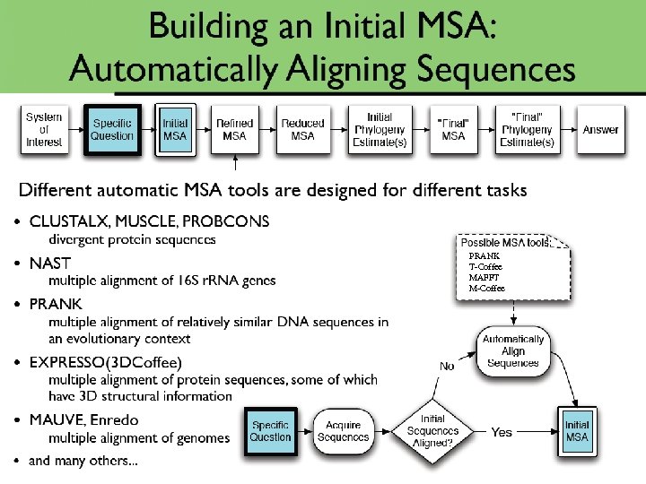 PRANK T-Coffee MAFFT M-Coffee 