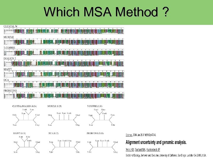 Which MSA Method ? 