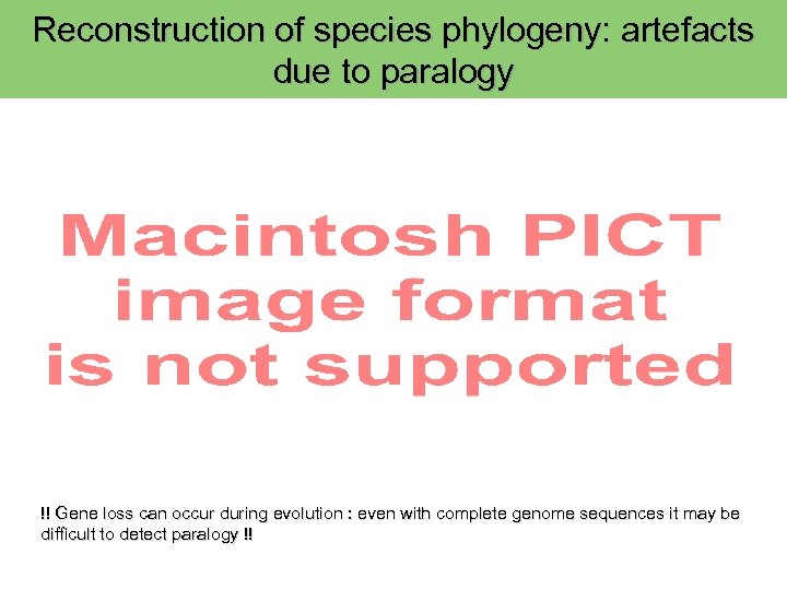 Reconstruction of species phylogeny: artefacts due to paralogy !! Gene loss can occur during