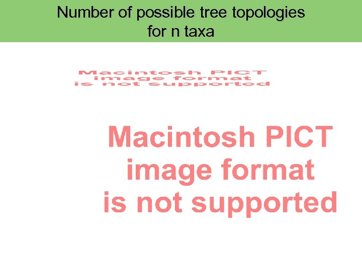 Number of possible tree topologies for n taxa 