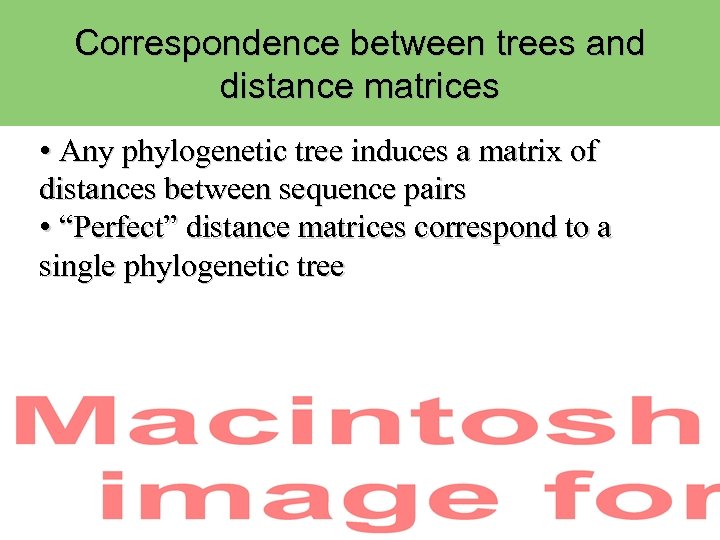 Correspondence between trees and distance matrices • Any phylogenetic tree induces a matrix of