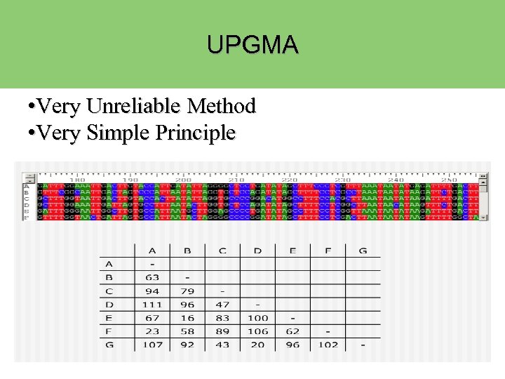 UPGMA • Very Unreliable Method • Very Simple Principle 
