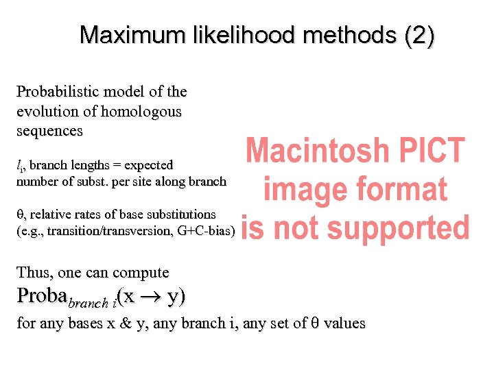 Maximum likelihood methods (2) Probabilistic model of the evolution of homologous sequences li, branch