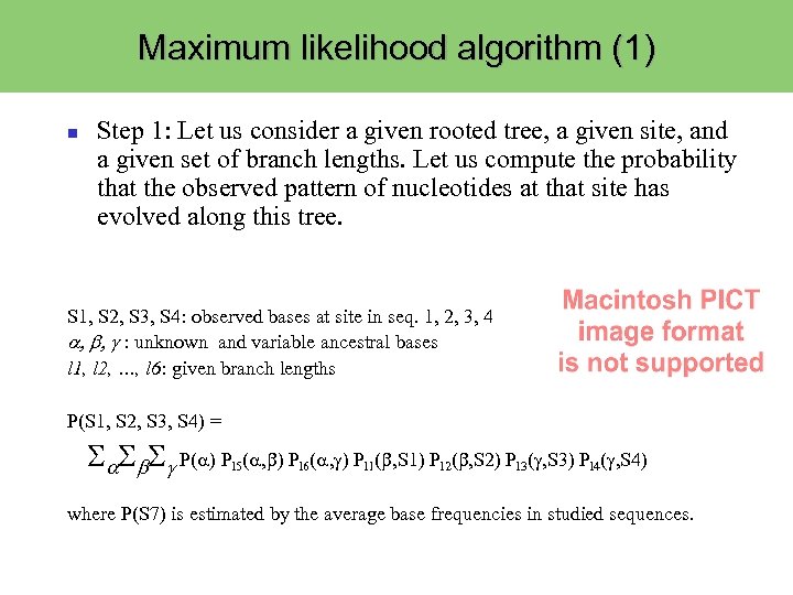 Maximum likelihood algorithm (1) Step 1: Let us consider a given rooted tree, a