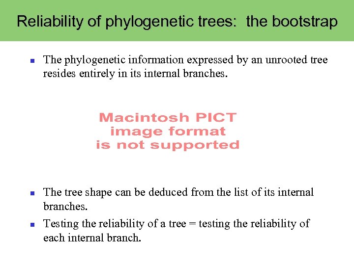 Reliability of phylogenetic trees: the bootstrap The phylogenetic information expressed by an unrooted tree
