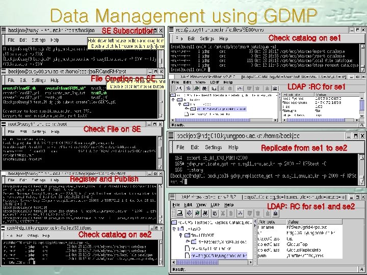 Data Management using GDMP SE Subscription Check catalog on se 1 File Creation on