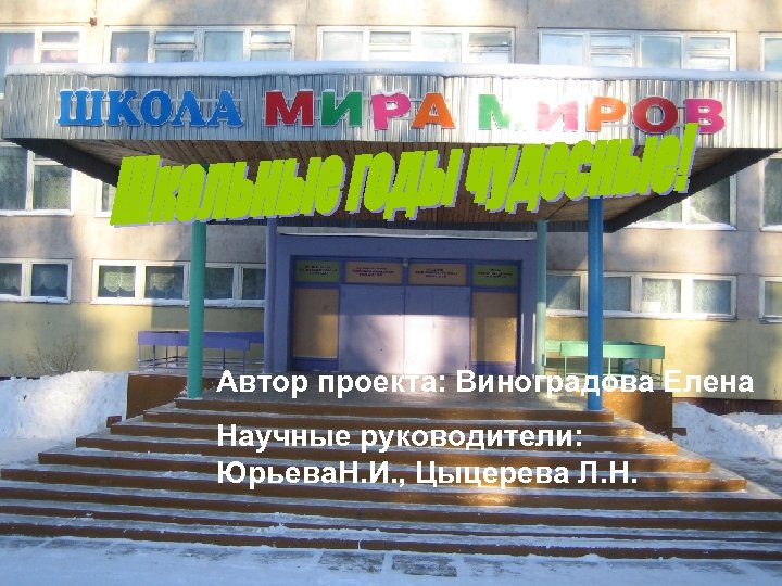 Автор проекта: Виноградова Елена Научные руководители: Юрьева. Н. И. , Цыцерева Л. Н. 