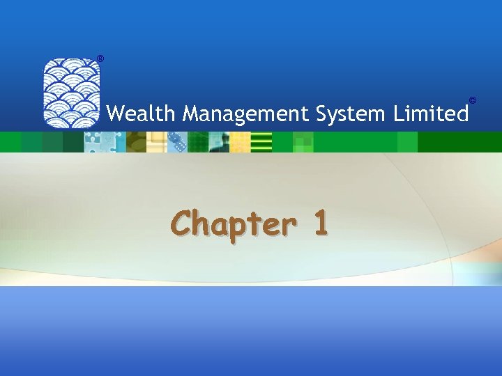 ® Wealth Management System Limited Chapter 1 © 