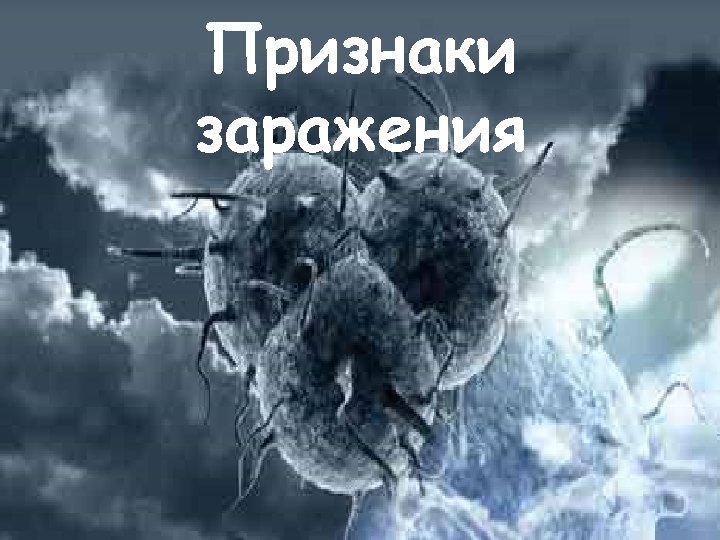 Признаки заражения 