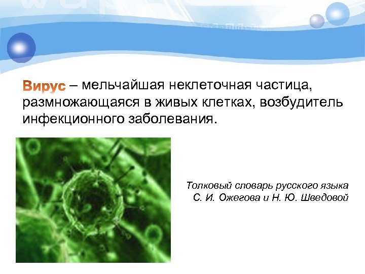 – мельчайшая неклеточная частица, размножающаяся в живых клетках, возбудитель инфекционного заболевания. Толковый словарь русского