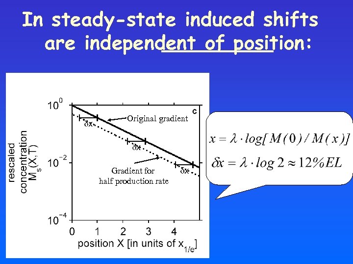 In steady-state induced shifts are independent of position: Original gradient Gradient for half production