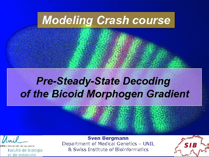 Modeling Crash course Pre-Steady-State Decoding of the Bicoid Morphogen Gradient Sven Bergmann Department of