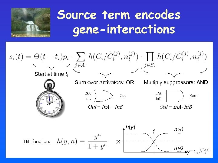 Source term encodes gene-interactions Start at time ti Sum over activators: OR h(y) Hill-function: