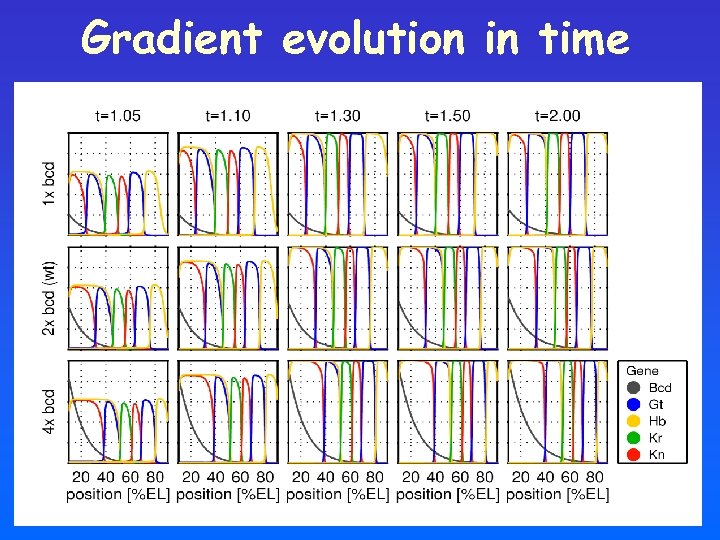 Gradient evolution in time 