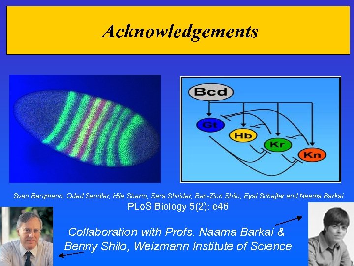 Acknowledgements Sven Bergmann, Oded Sandler, Hila Sberro, Sara Shnider, Ben-Zion Shilo, Eyal Schejter and