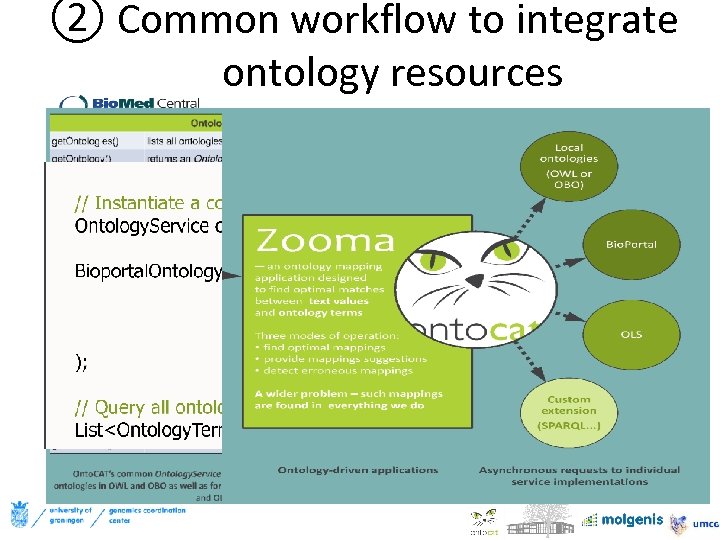 ② Common workflow to integrate ontology resources 