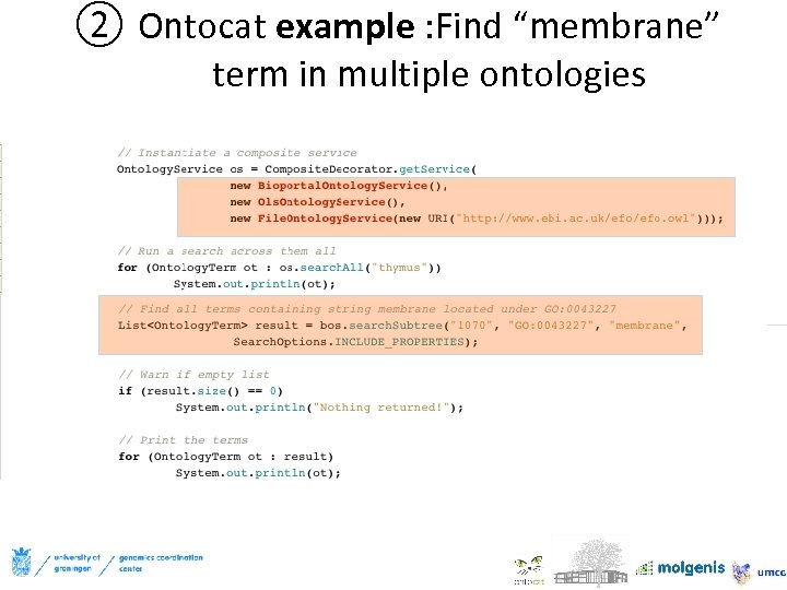 ② Ontocat example : Find “membrane” term in multiple ontologies 