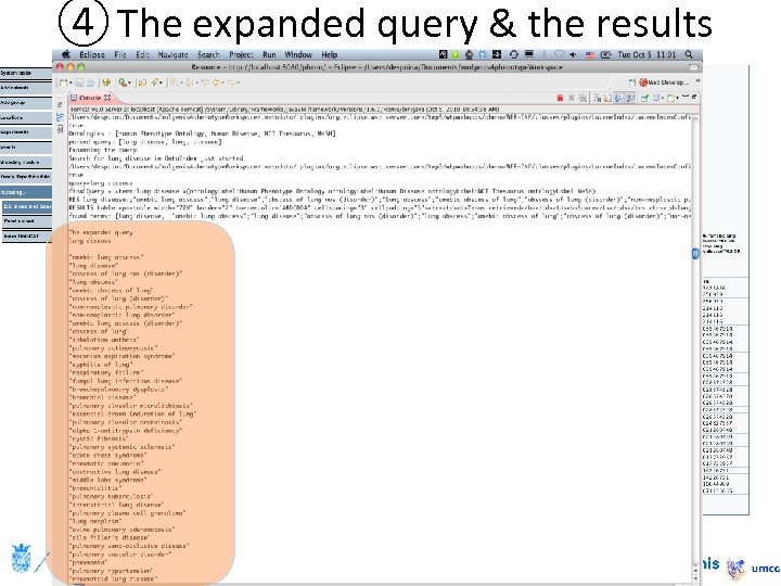 ④ The expanded query & the results 