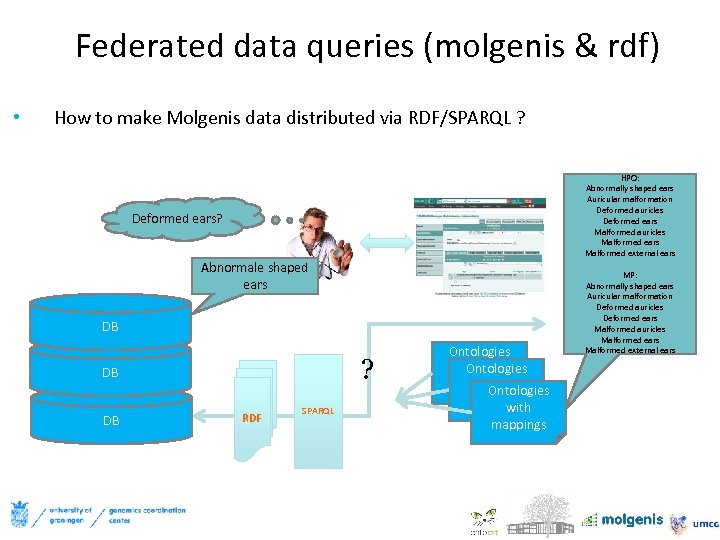 Federated data queries (molgenis & rdf) • How to make Molgenis data distributed via