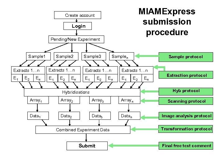 MIAMExpress submission procedure Create account Login Pending/New Experiment Sample 1 Extracts 1…n E 1