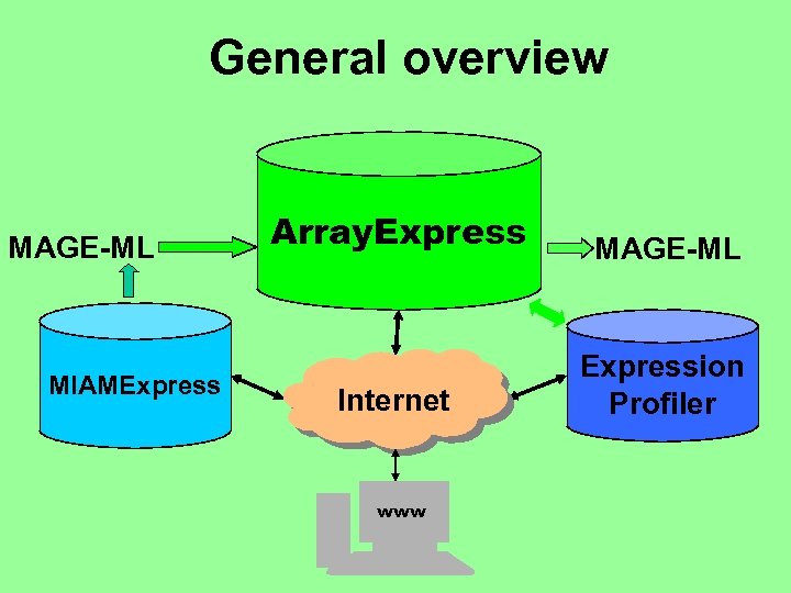 General overview MAGE-ML MIAMExpress Array. Express MAGE-ML Internet Expression Profiler www 