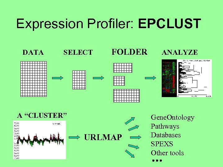 Expression Profiler: EPCLUST DATA SELECT FOLDER A “CLUSTER” URLMAP ANALYZE Gene. Ontology Pathways Databases