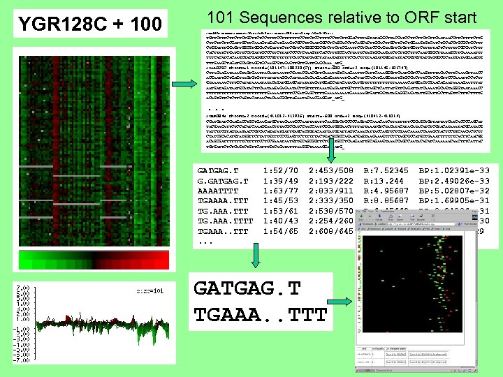 YGR 128 C + 100 101 Sequences relative to ORF start >YAL 036 C