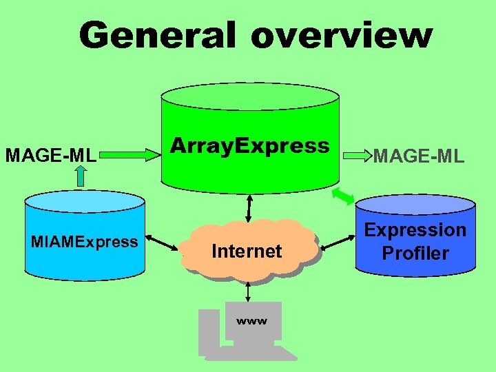 General overview MAGE-ML MIAMExpress Array. Express MAGE-ML Internet Expression Profiler www 