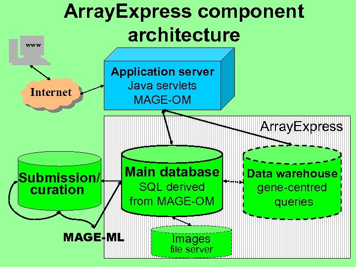 www Array. Express component architecture Internet Application server Java servlets MAGE-OM Array. Express Submission/