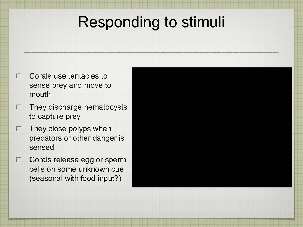Responding to stimuli Corals use tentacles to sense prey and move to mouth They