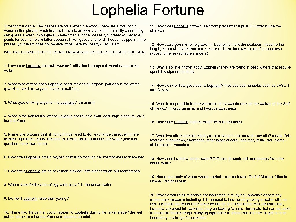 Lophelia Fortune Time for our game. The dashes are for a letter in a