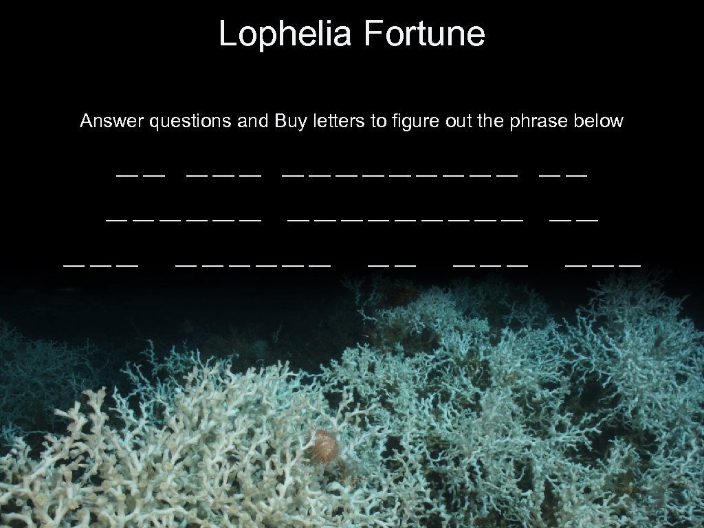 Lophelia Fortune Answer questions and Buy letters to figure out the phrase below __