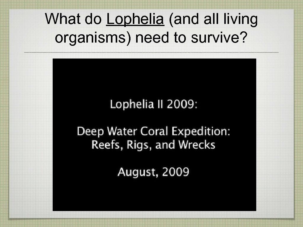 What do Lophelia (and all living organisms) need to survive? 