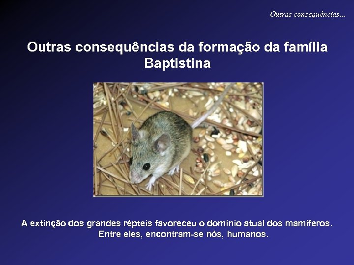 Outras consequências. . . Outras consequências da formação da família Baptistina A extinção dos