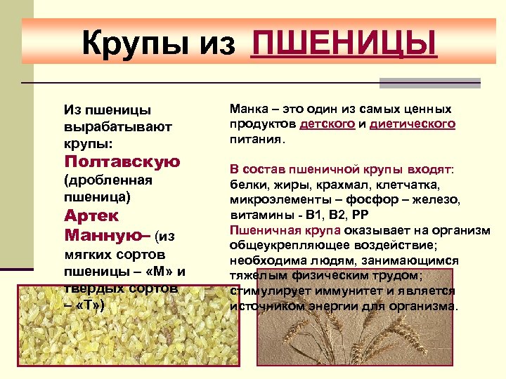 Крупа содержит. Какие крупы вырабатывают из пшеницы. Пшеничная крупа витамины. Пшеничная каша состав. Состав пшеничной крупы.