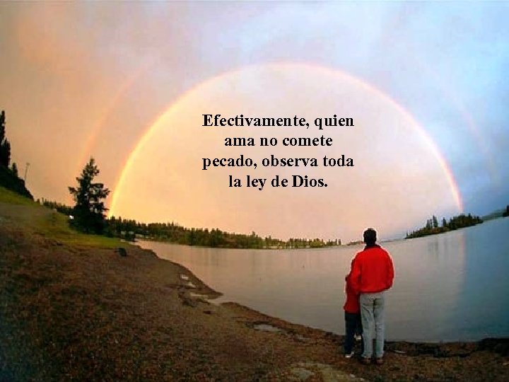 Efectivamente, quien ama no comete pecado, observa toda la ley de Dios. 