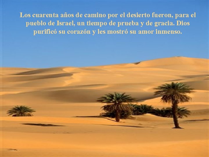 Los cuarenta años de camino por el desierto fueron, para el pueblo de Israel,