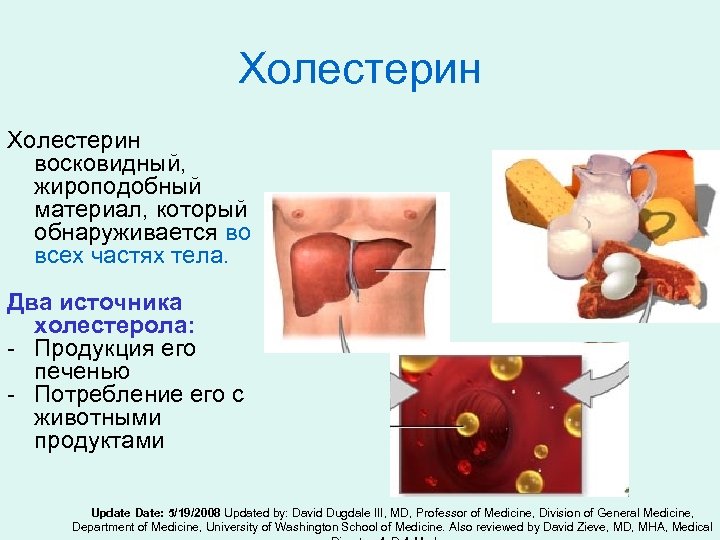Холестерин восковидный, жироподобный материал, который обнаруживается во всех частях тела. Два источника холестерола: -