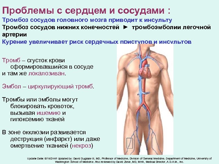 Тромбоз нижних конечностей карта вызова