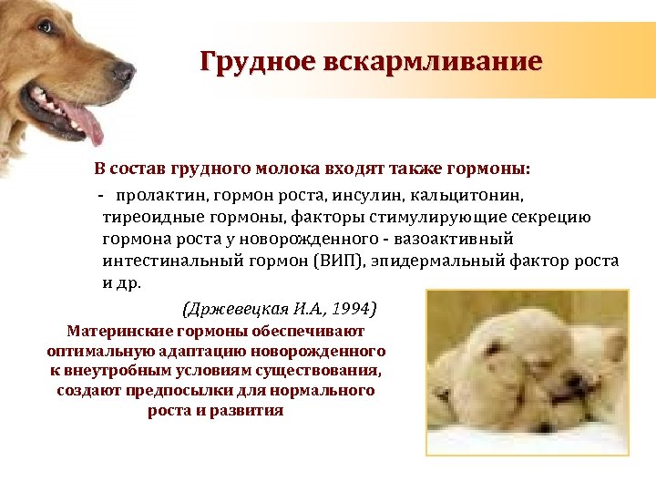 Грудное вскармливание В состав грудного молока входят также гормоны: - пролактин, гормон роста, инсулин,