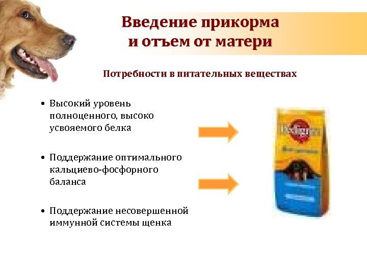 Введение прикорма и отъем от матери Потребности в питательных веществах • Высокий уровень полноценного,